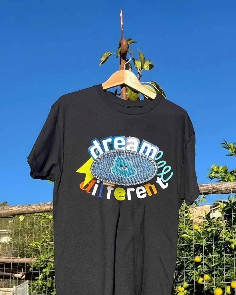 Dream Absolute